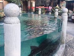 -天怡·鱼工厂(临江店)