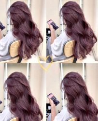 -IP SALON