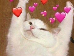 -星巴克臻选(郑州国贸360广场店)