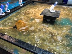 -盒马鲜生(宝地店)