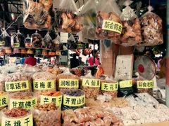 -大湾区中央湿地公园-十九涌