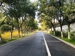 -贡湖湾湿地公园