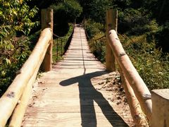 -帽儿山风景区