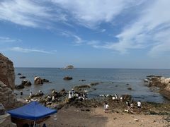 -养马岛旅游度假区