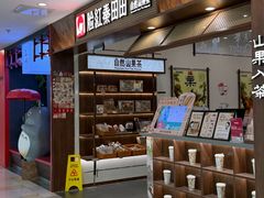 -鹏欣水游城