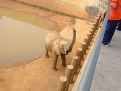 -西霞口神雕山野生动物世界