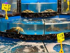 -丁字口海鲜热炒·烧烤大排档