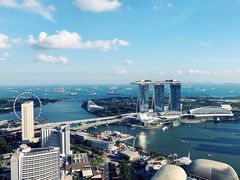 -新加坡瑞士史丹福酒店