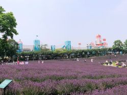 -季高兔窝窝亲子园(上海薰衣草公园店)