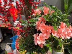 -FEI FEI FLOWER鲜花店·气球派对·宝宝宴布置(虹口德必运动Loft店)