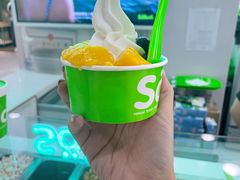 -Salud撒露欧洲冻酸奶(五道口购物中心店)
