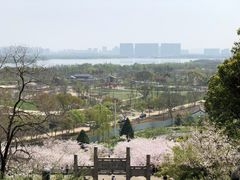 -苏州上方山国家森林公园