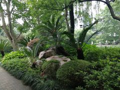 -静安公园(静安寺街道)