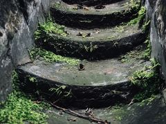-大觉寺-停车场