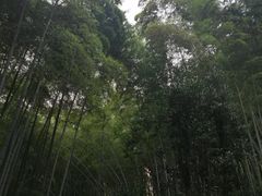 -杭州黄龙洞