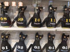 -猫咪博物馆(顶澳仔猫街店)