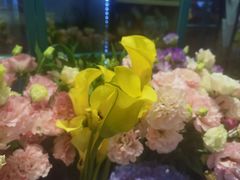 -BOBLOOM花店(宝龙旭辉广场店)