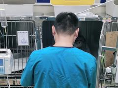 -申普宠物医院·眼科·心内科·影像科(普陀分院)