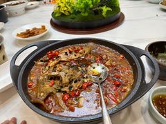 -洞庭家宴·头牌甲鱼(广渠门店)