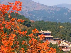 -香山公园