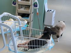-怪兽屋·羊驼·猫咖·狗咖(俊华广场店)