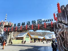 -大连森林动物园