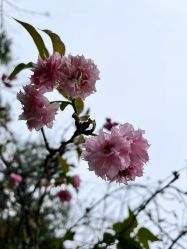点击看大图 -重庆嘉华妇产医院·妇幼保健