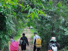-海南霸王岭国家森林公园
