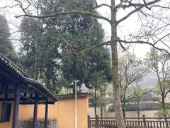 -毛泽东同志旧居