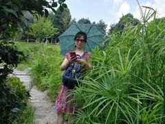 -铁山坪森林公园