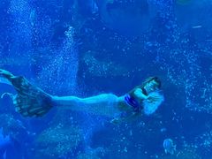 -威海华夏城景区