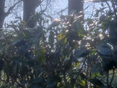 -西南交通大学(峨眉校区)