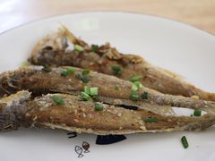 干煎小黄鱼-小河无名面馆