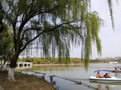 -昆山城市生态森林公园