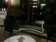 -青咖啡(三坊七巷店)