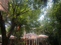 -Fern Forest Cafe