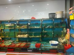 -阿钦大排档