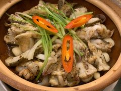 砂锅多宝鱼-美极鲜食坊(宝安南路店)