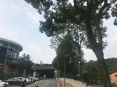 -中铁花水湾温泉酒店(大邑店)