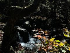 -关门山森林公园