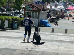 -烟台海昌鲸鲨海洋公园