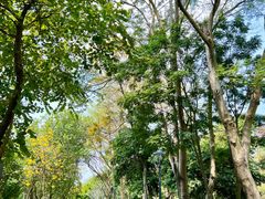 -怡海公园(桂城街道)