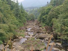 -龙苍沟森林公园
