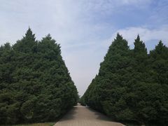 -秦始皇帝陵博物院-丽山园