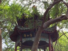 -乌山风景区