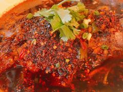 -铁公鸡·四川料理(天环广场店)
