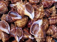 海螺-京港生鲜(四道口店)