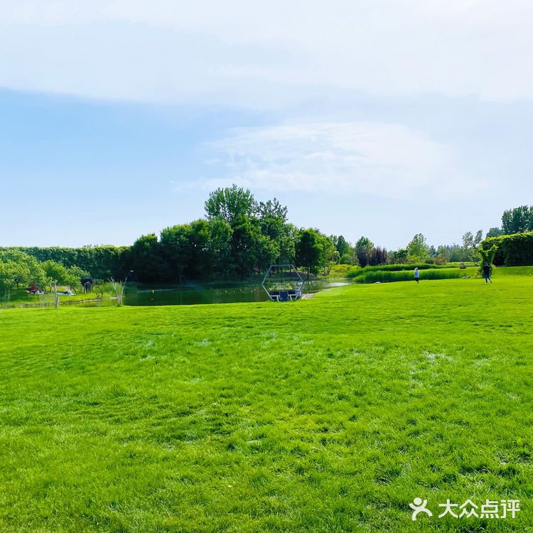 圣露庄园～遛娃实战攻略