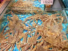 -蚝得喜海鲜(东城店)