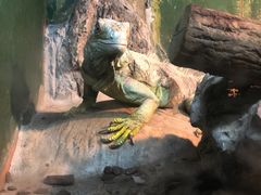 -上海大自然野生昆虫馆